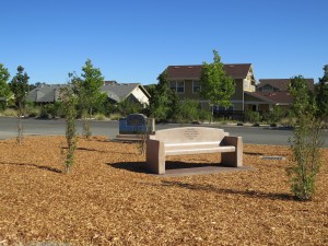 The recently completed fist phase of the Memorial Grove.
